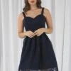 Double Second Navy Embroidered Lace Skater Dress